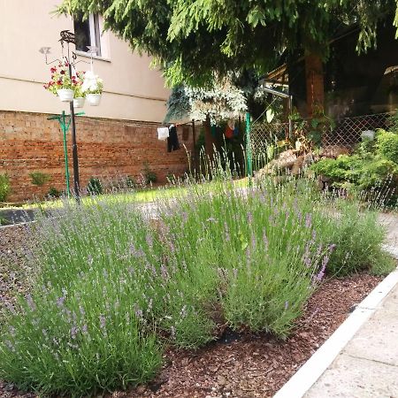 Apartment On Zaliznychna Lviv Eksteriør bilde
