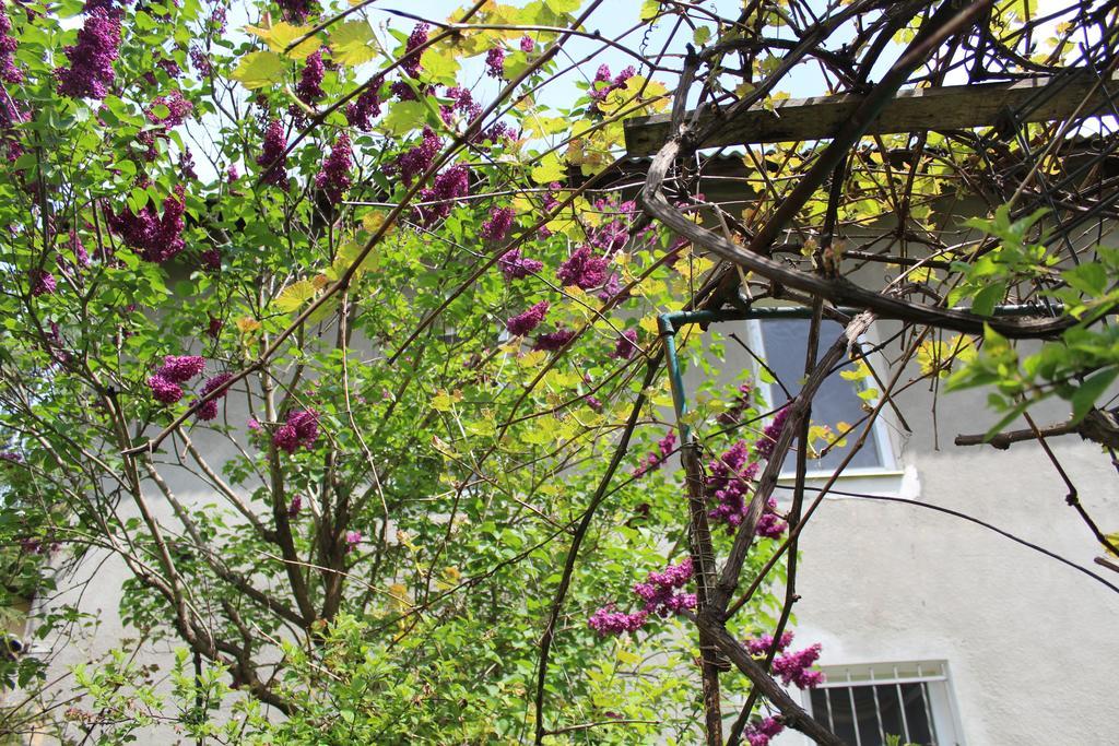 Apartment On Zaliznychna Lviv Eksteriør bilde
